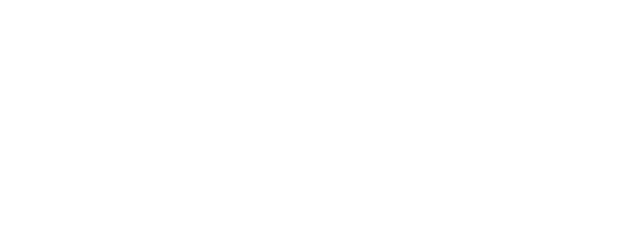 Snapp Logo Light